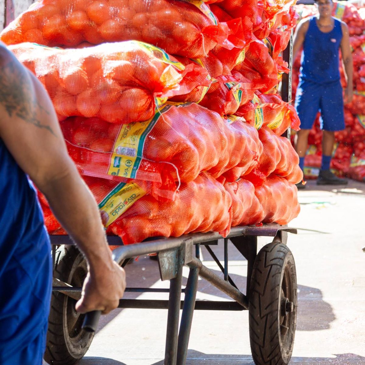 CEBOLA CARREGAMENTO